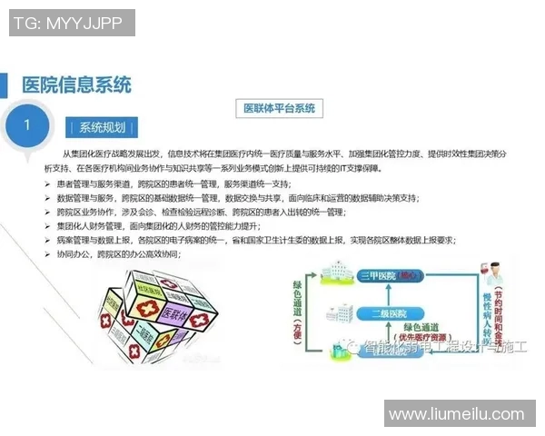 系统化游泳训练计划提升技巧与耐力全面指南